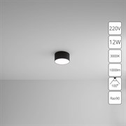 Arte Lamp A7312PL-1BK СВЕТИЛЬНИК ПОТОЛОЧНЫЙ FADO 115мм 12Вт 960Лм 3000К A7312PL-1BK