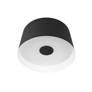 LOFT IT 10360S Black Потолочный светильник Duo, шт 10360S Black