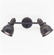 Citilux CL502522 Опус Кофейный Светильник Настенно-потолочный CL502522