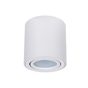 Arte Lamp A1513PL-1WH BEID Светильник потолочный, белый A1513PL-1WH