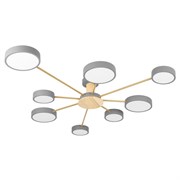 LOFT IT 10316/8 Grey Потолочный светильник Sunrise 10316/8 Grey
