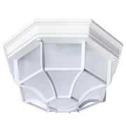 Arte Lamp A3100PL-1WH Pegasus Уличный потолочный светильник A3100PL-1WH
