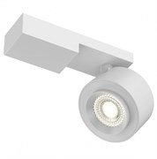 Maytoni Ceiling & Wall Treo Белый Потолочный светильник C062CL-L12W3K