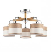 Freya Modern Helen Хром Потолочный светильник E27 40W FR5329-PL-05-CH