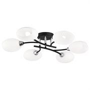 Citilux CL148165 Флорида Черн.+Хром Св-к Люстра CL148165