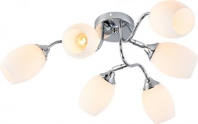 Rivoli Люстра Hollie 3135-306 6 х Е27 60 Вт модерн Б0055379