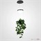 ImperiumLoft Подвесной светильник PALMA Wall lamp шар + вазон 168489-22 - фото 101014