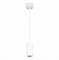 ST Luce ST600.543.10 Светильник подвесной Zoom Белый LED 1*10W 4000K 1 000Lm Ra>80 15-60° IP20 D59xH130 170-240VV ST600.543.10 - фото 101179
