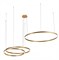LOFT IT 10017/3L Светильник подвесной Ring, шт 10017/3L - фото 102286