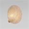 Eurosvet 4814 настенный светильник Pulse a068387 - фото 106699 Eurosvet 4814 настенный светильник Pulse a068387 - фото 106699