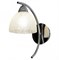 Lussole PROMO 2 Металл Хром /  Стекло Светильник настенный E27 60W LSF-1601-01 - фото 107558