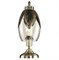 Citilux CL420813 Гаруда Св-к Настольный CL420813 - фото 108729