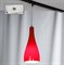 Lussole S.R.L Металл Хром /  Стекло трековый светильник однофазный E27 60W LSF-1156-01-TAW - фото 110607