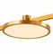 ST LUCE ST818.206.12 Магнитный трековый светильник FARM Золотистый LED 1*10W 3000K 520Lm Ra80 120 IP20 D168xH54 180-240V ST818.206.12 - фото 110794