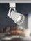 ЭРА Трековый светильник однофазный TR38-GU10 WH MR16 Белый Б0053307 - фото 111291 ЭРА Трековый светильник однофазный TR38-GU10 WH MR16 Белый Б0053307 - фото 111291