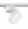Maytoni Трековый светильник Magic Unity 3000K 12Вт 36° TR006-1-12W3K-W - фото 111918