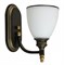 Arte Lamp A9518AP-1BA Bonito Бра A9518AP-1BA - фото 116798 Arte Lamp A9518AP-1BA Bonito Бра A9518AP-1BA - фото 116798