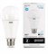 Gauss Лампа Elementary A67 30W 2390lm 6500K E27 LED 73239 - фото 33892