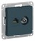 Systeme Electric AtlasDesign изумруд розетка двойная комп+ТВ, RJ45+TV, кат.5E, механизм ATN000889 - фото 45410 Systeme Electric AtlasDesign изумруд розетка двойная комп+ТВ, RJ45+TV, кат.5E, механизм ATN000889 - фото 45410
