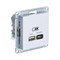 Systeme Electric AtlasDesign Лотос Розетка USB A + тип-C 45Вт высокоскор.заряд. QC, PD, механизм ATN001329 - фото 70707 Systeme Electric AtlasDesign Лотос Розетка USB A + тип-C 45Вт высокоскор.заряд. QC, PD, механизм ATN001329 - фото 70707