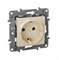 Legrand Etika слоновая кость розетка с заземлением, винтовые клеммы 672321 - фото 75002