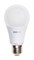 Jazzway Лампа светодиодная (LED) «груша» d60мм E27 240° 11Вт 220-230В матовая нейтральная холодно-белая 5000К .1033222 - фото 89765