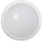 IEK Светильник LED ДПО 5042Д 12Вт 4000K IP65 круг белый с АД LDPO3-5042D-12-4000-K01 - фото 91867