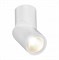 ST LUCE  ST650.532.10 Светильник потолочный Белый LED 1*10W 3000K 800Lm Ra>90 38о IP44 D60xH175 165-265V ST650.532.10 - фото 94061