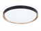 Ambrella Потолочный светодиодный светильник FZ1249 BK/GD черный/золото IP54 45W 5000K D480*60 (Без ПДУ) FZ1249 - фото 96509