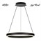 Citilux CL719401 Дуэт Черный Св-к Люстра CL719401 - фото 96960